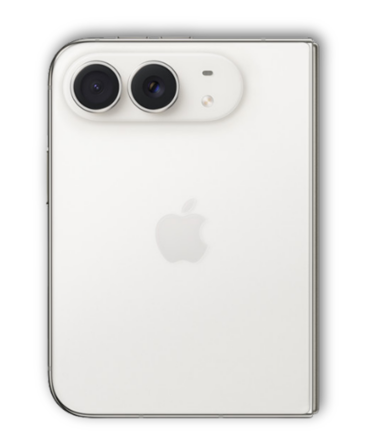 iPhone Duo cases
